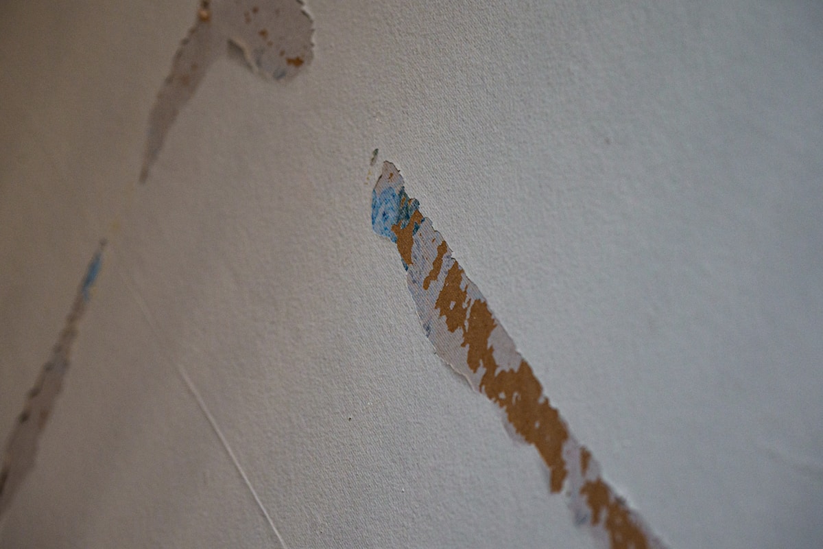 Flood Cleanup service in Peoria, AZ